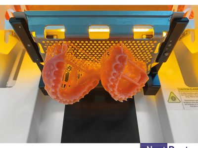 NextDent Denture 3D Plus Printed Model