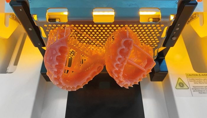 NextDent Denture 3D Plus Printed Model